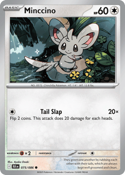 Minccino – Common
