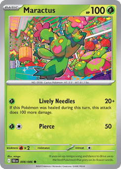Maractus – Common
