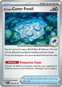 Antique Cover Fossil – Common