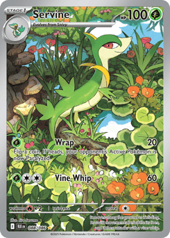 Servine – Illustration Rare