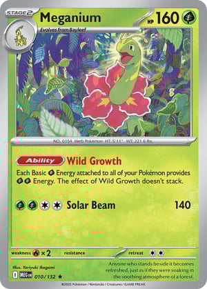 Meganium #010/132 | Mega Evolution Base Set | Rare  - Holo
