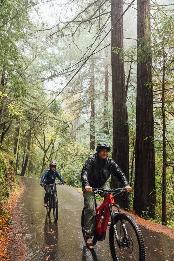 Photo 344526