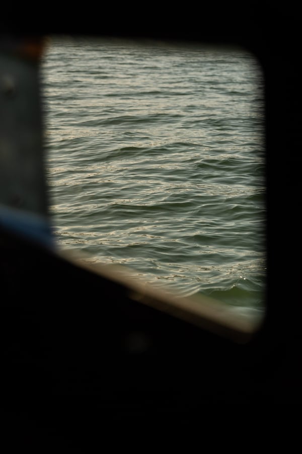Photo 370908