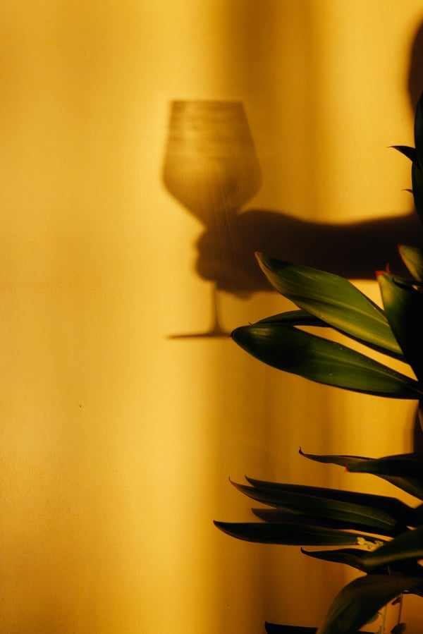 Photo 396539