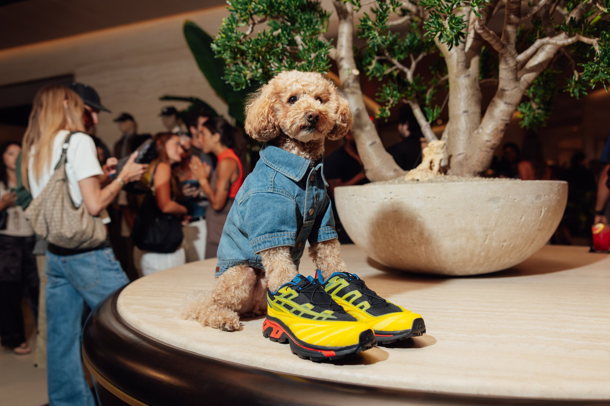 Kith for Salomon XT-Evo