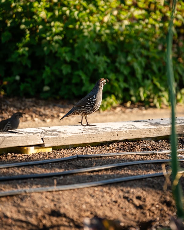 Photo 329769