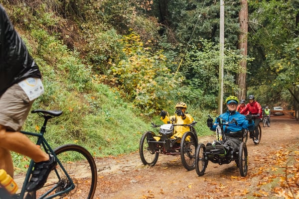 Photo 344541