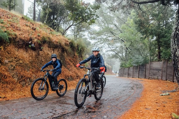 Photo 344750