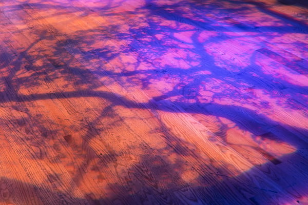 Photo 320779