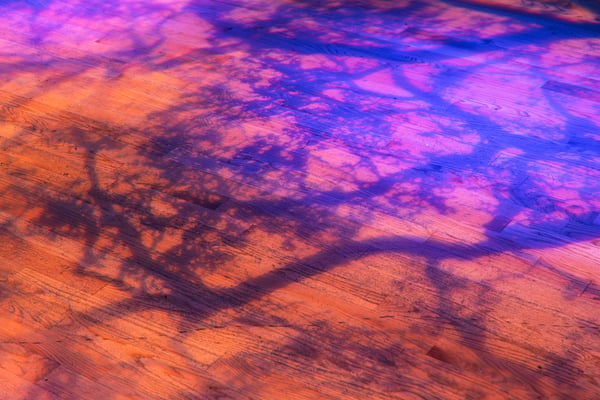Photo 320780