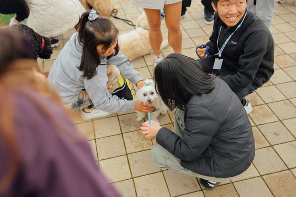 Photo 305026