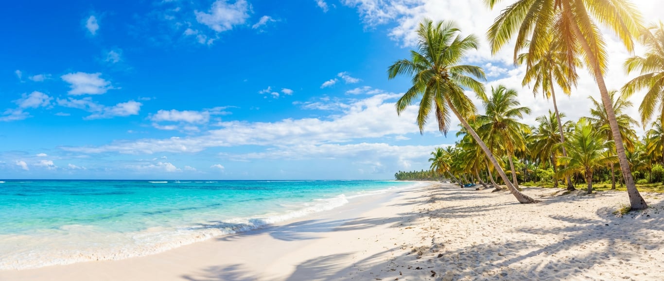 Plajă tropicală exotică cu palmieri și nisip alb sub cer senin