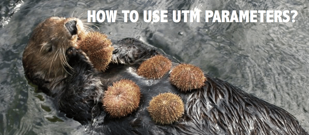 UTM parameters: track your marketing campaigns