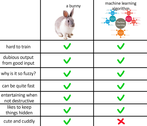 A bunny vs machine learning algorithm