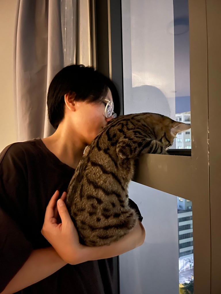 El Phan cat