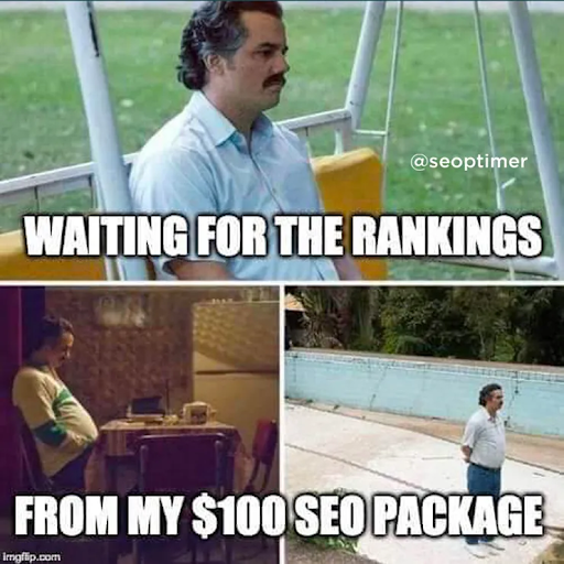 Waiting for the rankings from my $100 SEO package - SEO Meme