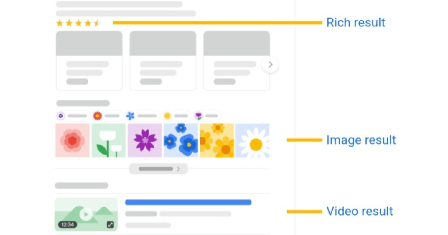 Google's Visual Guide to Search Elements