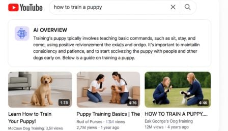 YouTube testing AI-generated Overviews