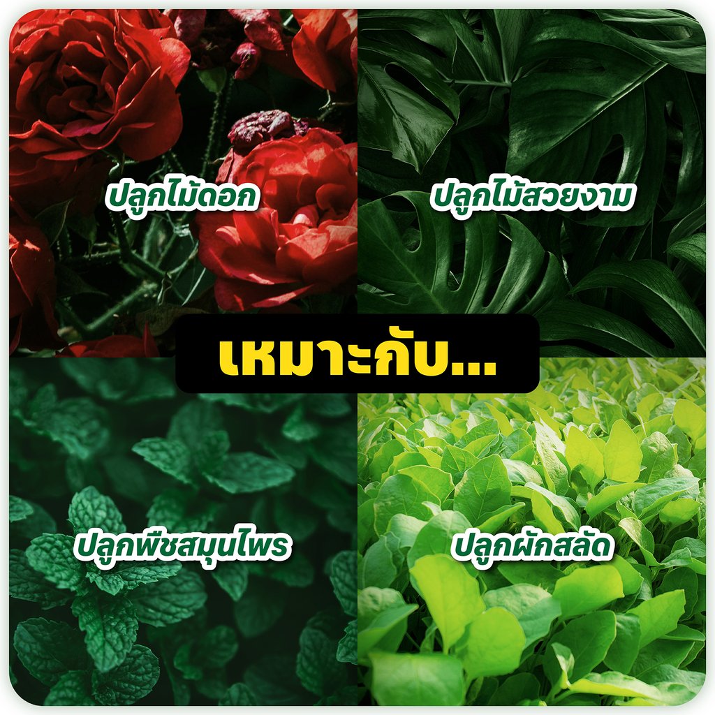 Smart Pots | ซื้อ กระถางผ้าปลูกต้นไม้ แก้ปัญหารากเน่า เร่งรากโตไว ผ้าไม่เกิดรา 6 กระถางผ้าปลูกต้นไม้