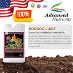 Voodoo Juice