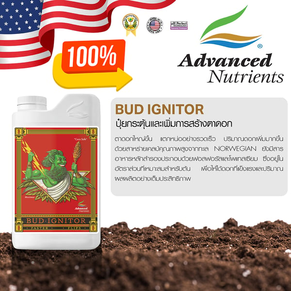 bud ignitor