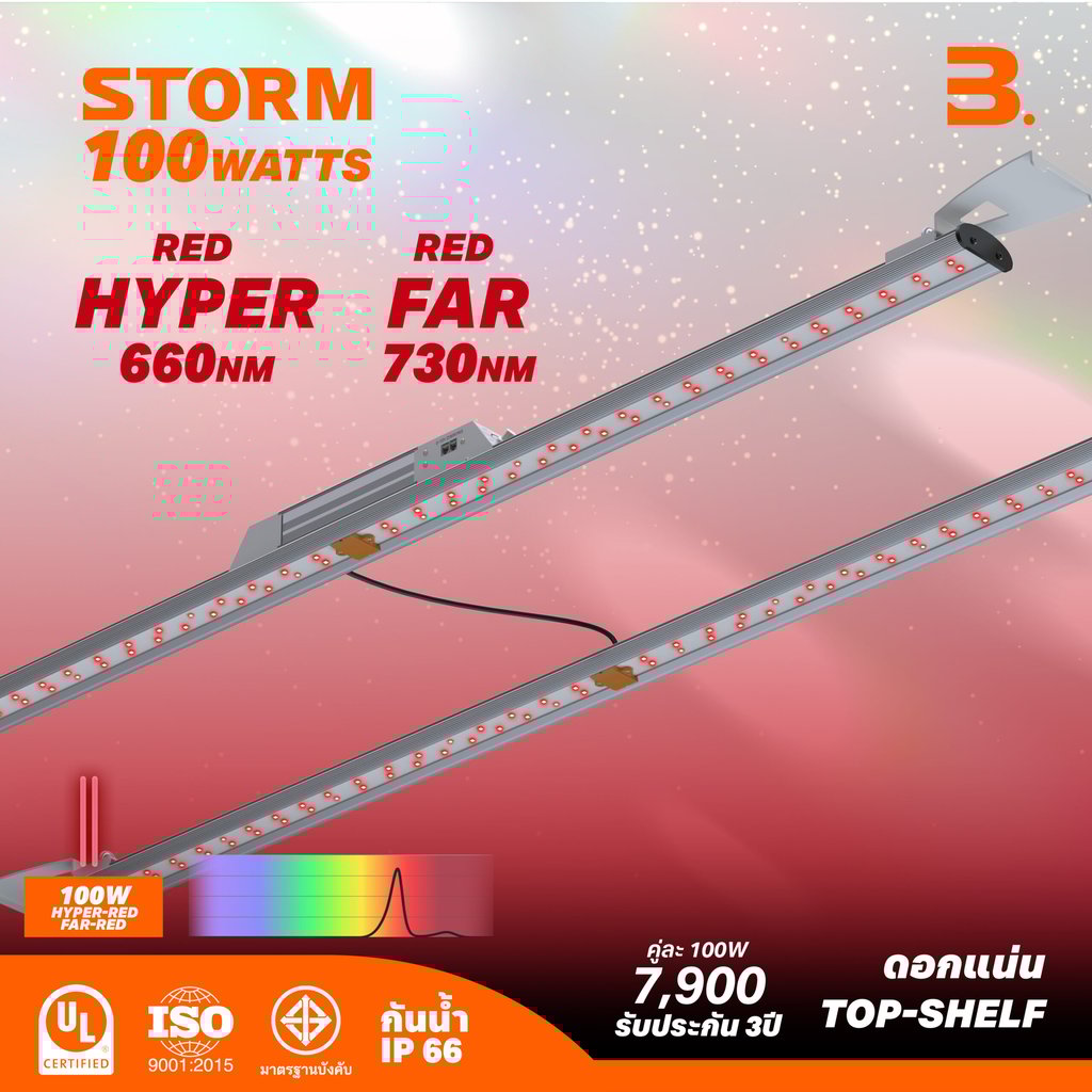 ไฟปลูกต้นกัญชา