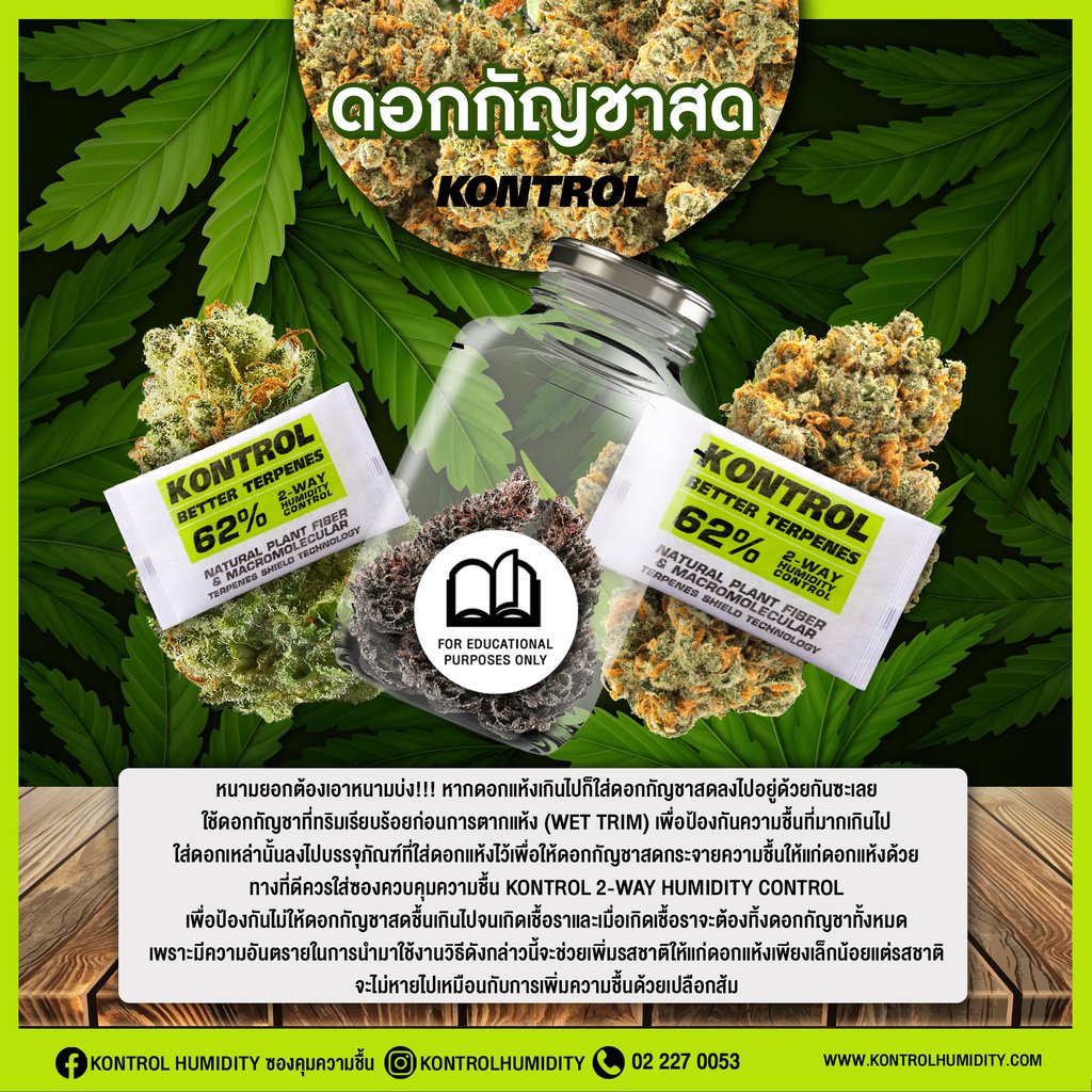 กัญชาแห้ง