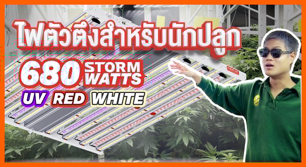 ไฟปลูกต้นไม้ full spectrum