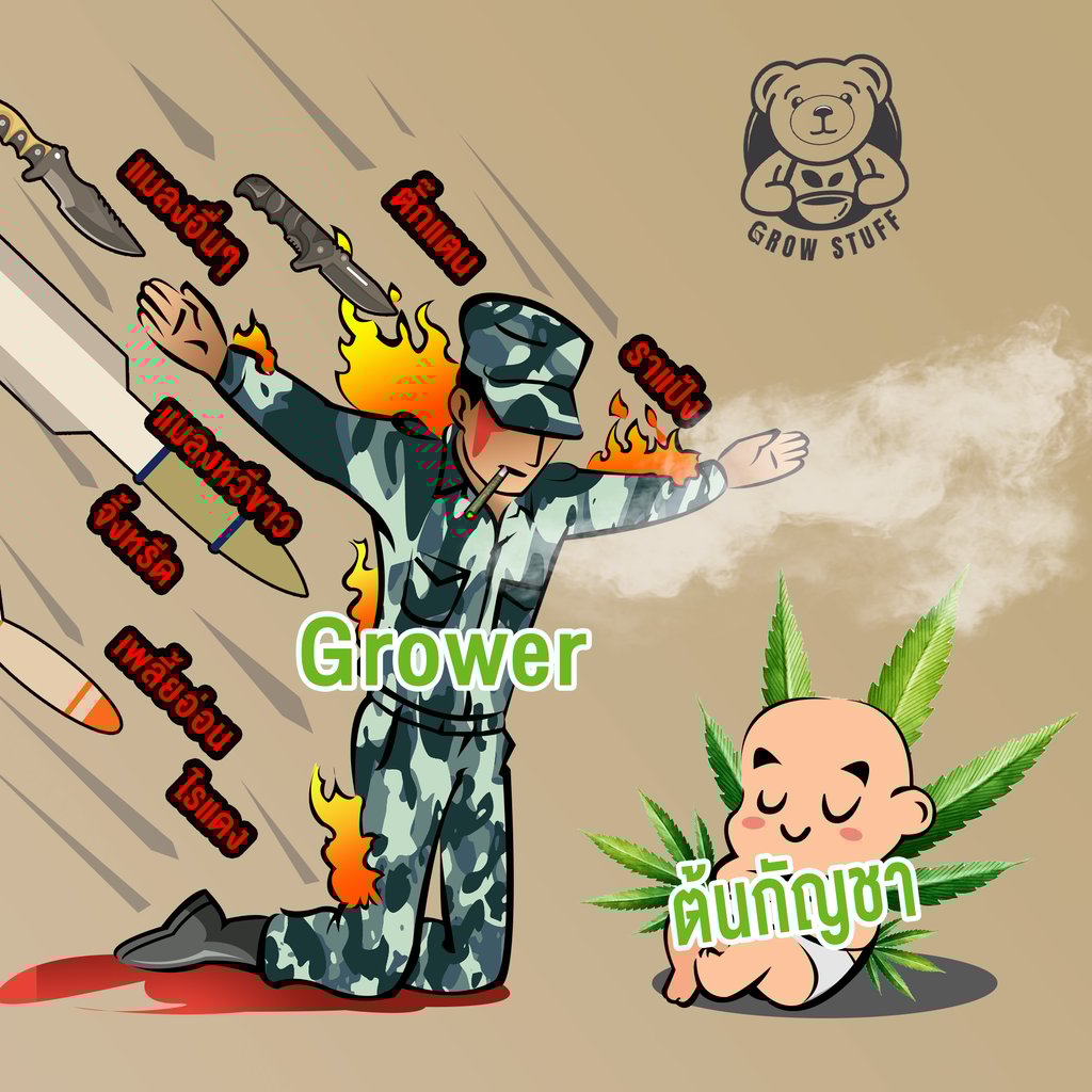Meme 3 11