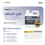 ไมร่า (MIRA) | ปรับสมดุลค่า pH, จากโพแทสเซียมซิลิเกต | KING WHALE - Image 2