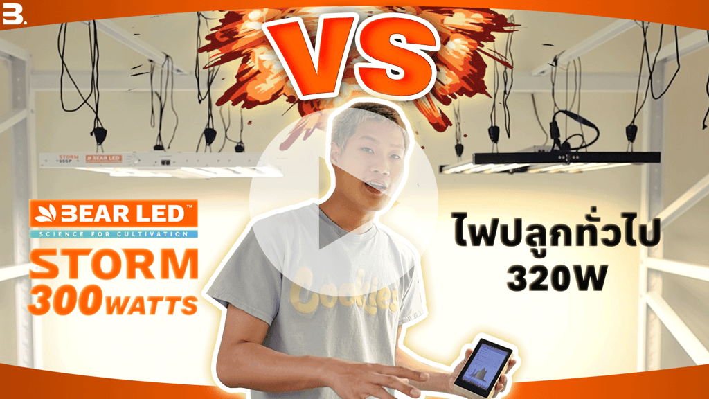 ไฟปลูกพืช