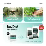 อ๊อกซี่ รูท (OXY ROOT) น้ำยาล้างราก | HOCL 300 PPM | KING WHALE - Image 9