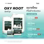 อ๊อกซี่ รูท (OXY ROOT) น้ำยาล้างราก | HOCL 300 PPM | KING WHALE - Image 3