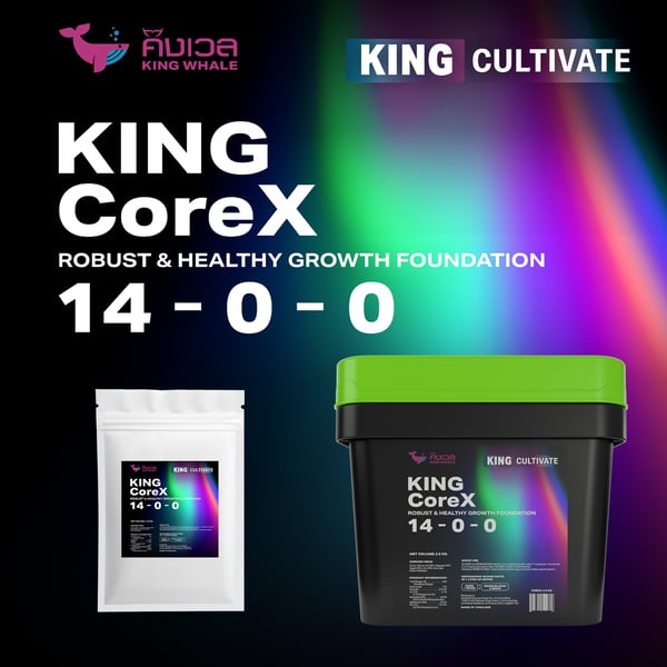king corex