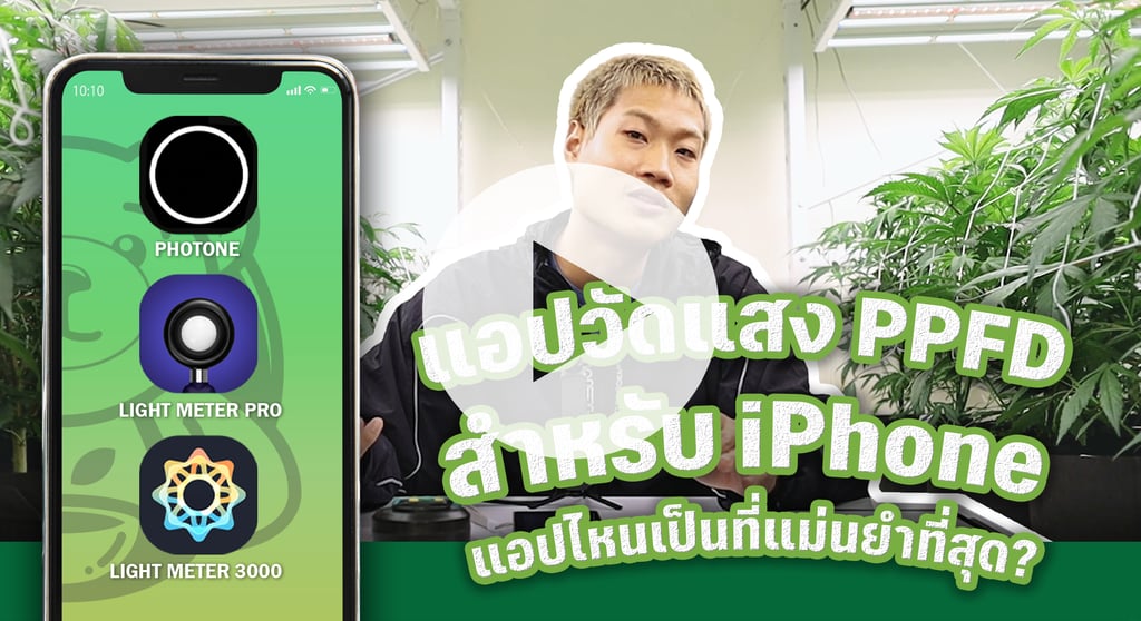 แอพวัดค่าแสง