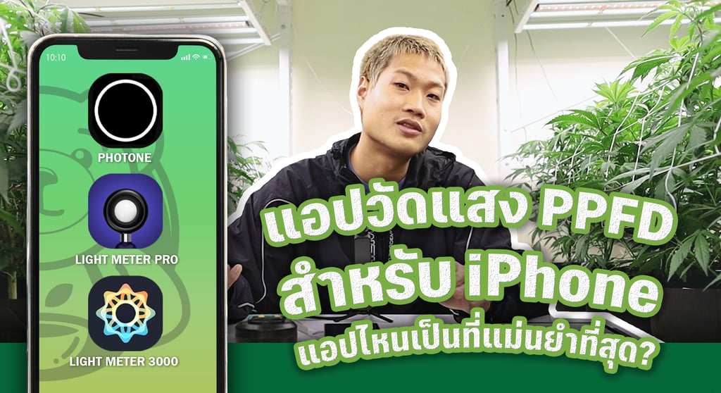 แอพวัดค่าแสง
