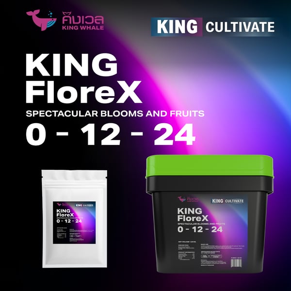 king florex