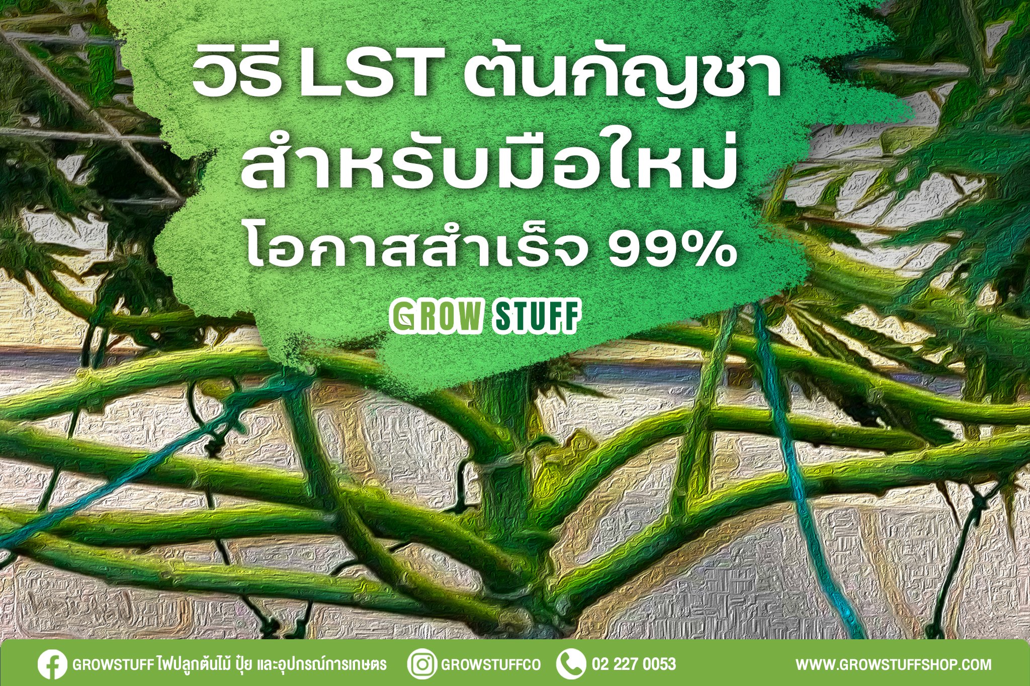 Re LST Cover FB 1 1
