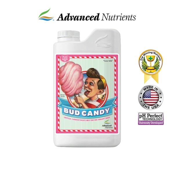 Bud Candy