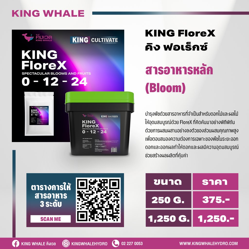 สารอาหารพืช