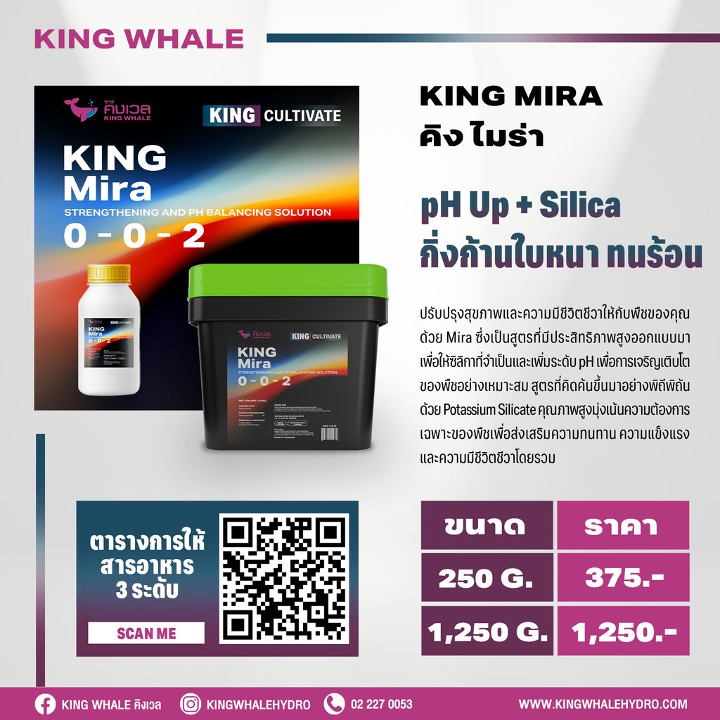 สารอาหารพืช