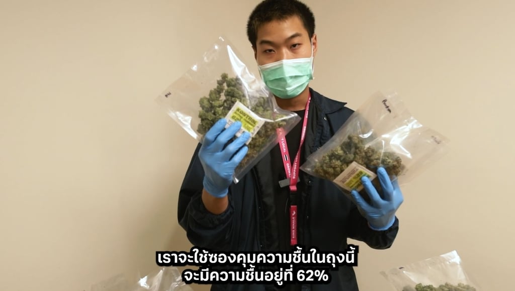 เครื่องทริมดอกกัญชา