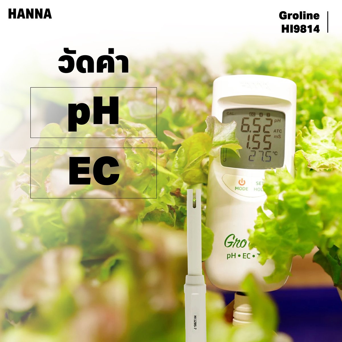 HANNA HOW TO 03 0