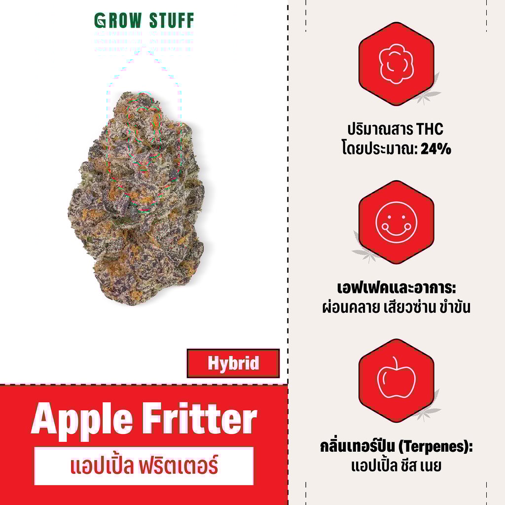 กัญชา hybrid