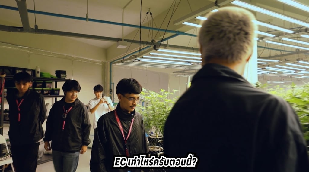 ฟาร์มกัญชา