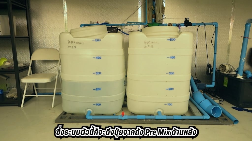 ฟาร์มกัญชา