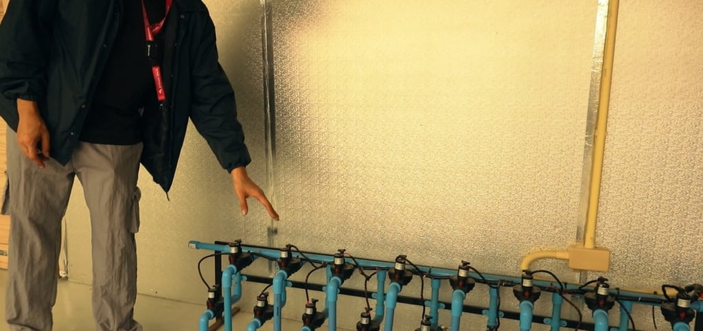 ฟาร์มกัญชา