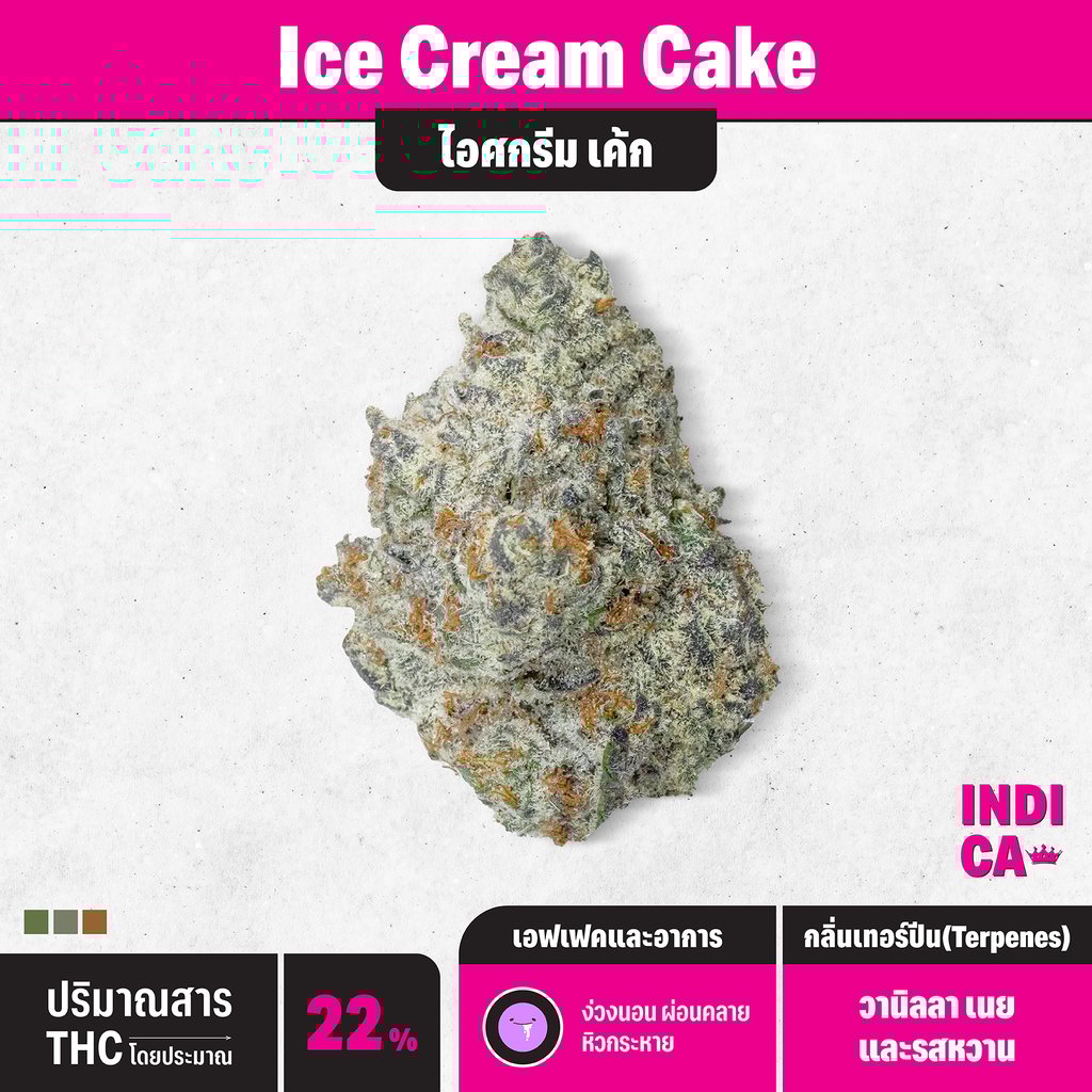 กัญชา indica