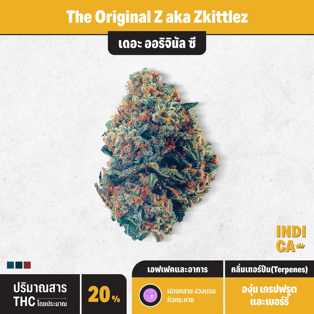 กัญชา indica