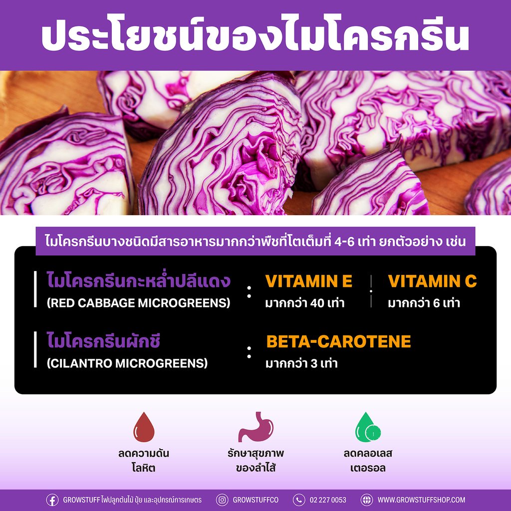 ไมโครกรีนคืออะไร